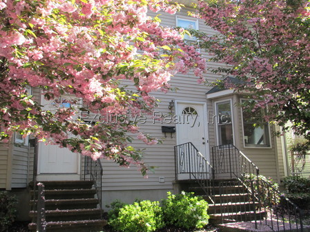 Apartment for Rent in Waltham