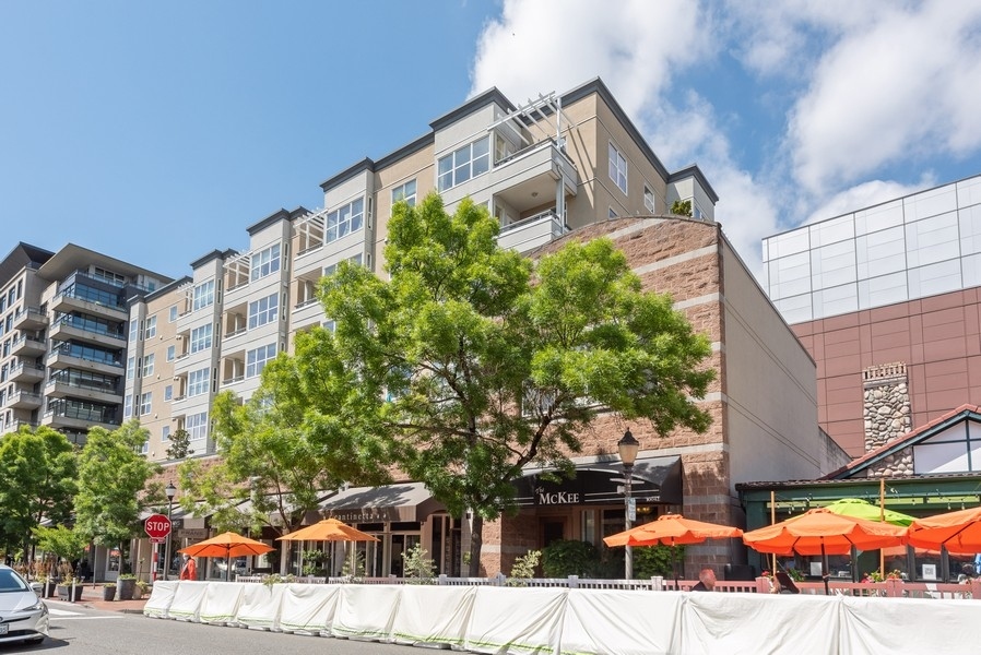 Apartment for Rent in Bellevue