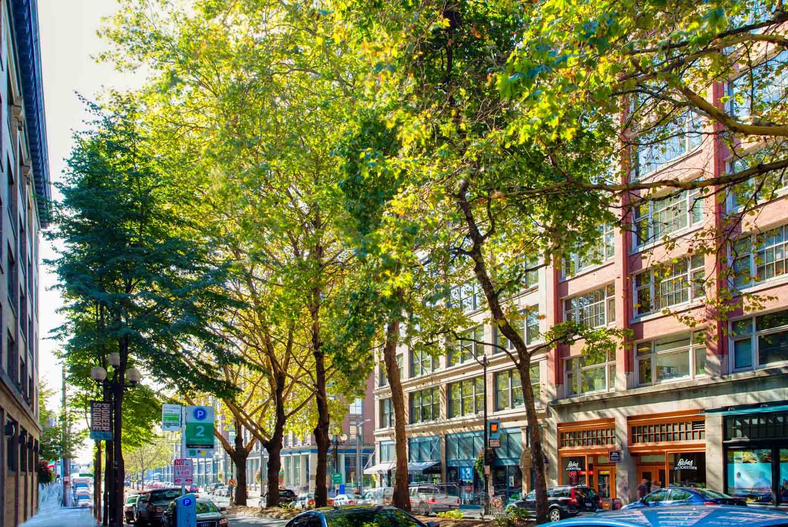 Apartment for Rent in Seattle